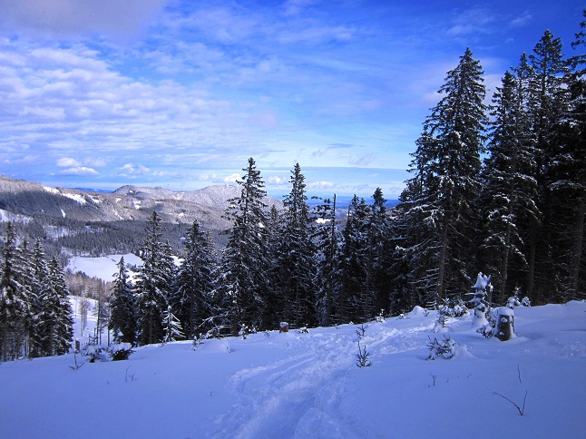 Foto: Andreas Koller / Skitour / Aus dem Feistritztal auf den Harterkogel (1523m) / 05.02.2021 19:37:18