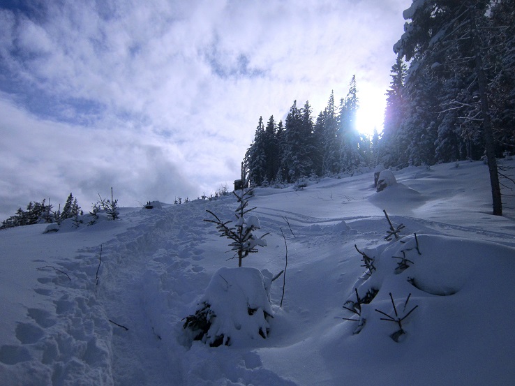 Foto: Andreas Koller / Skitour / Aus dem Feistritztal auf den Harterkogel (1523m) / 05.02.2021 19:37:11