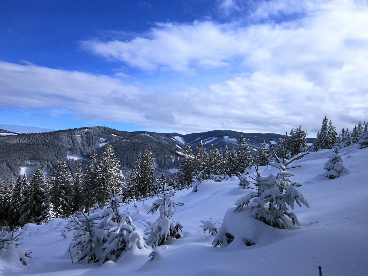 Foto: Andreas Koller / Skitour / Aus dem Feistritztal auf den Harterkogel (1523m) / 05.02.2021 19:36:59