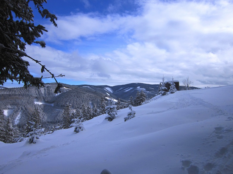 Foto: Andreas Koller / Skitour / Aus dem Feistritztal auf den Harterkogel (1523m) / 05.02.2021 19:36:53