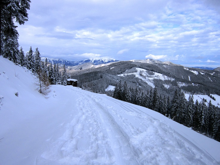 Foto: Andreas Koller / Skitour / Aus dem Feistritztal auf den Harterkogel (1523m) / 05.02.2021 19:36:33