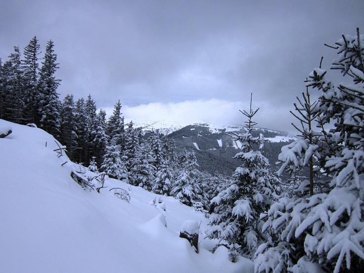 Foto: Andreas Koller / Skitour / Aus dem Feistritztal auf den Harterkogel (1523m) / 05.02.2021 19:36:13