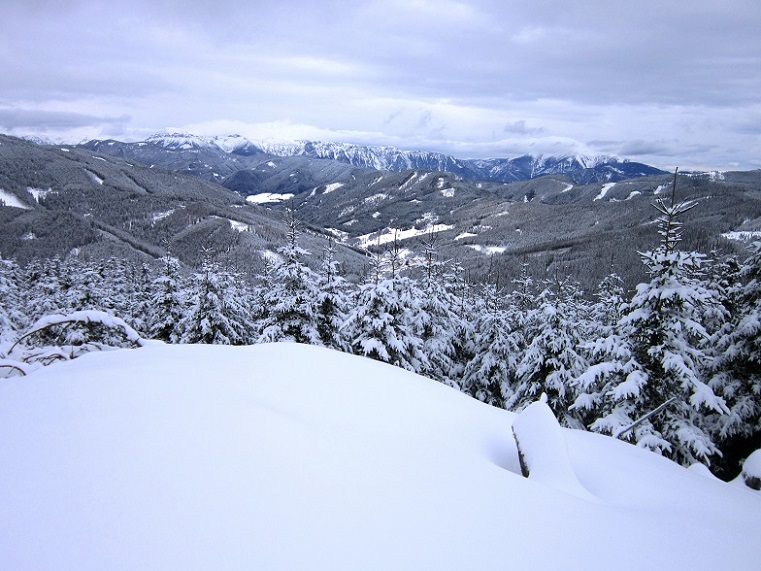 Foto: Andreas Koller / Skitour / Aus dem Feistritztal auf den Harterkogel (1523m) / 05.02.2021 19:36:07