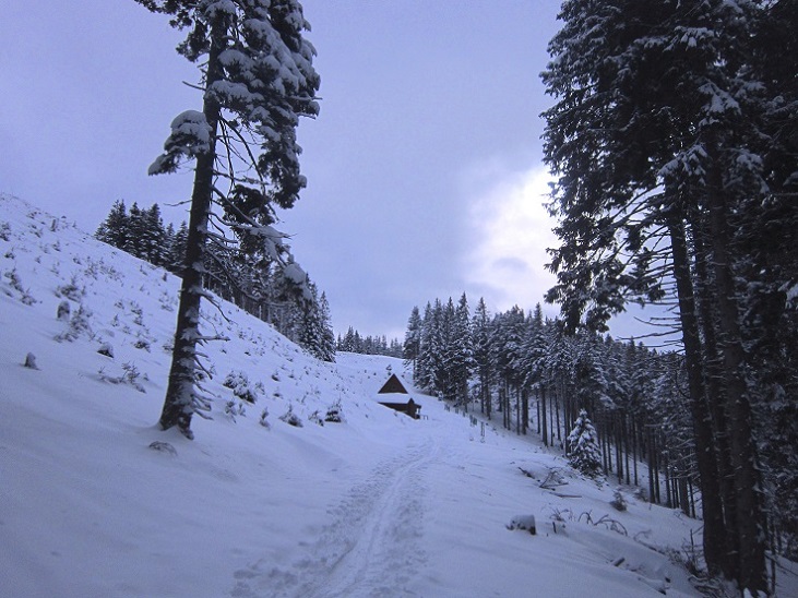 Foto: Andreas Koller / Skitour / Aus dem Feistritztal auf den Harterkogel (1523m) / 05.02.2021 19:35:54