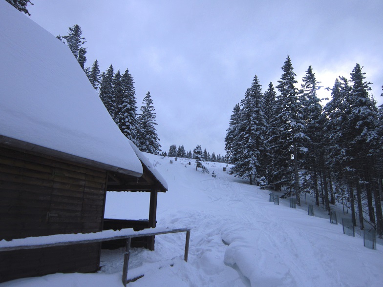 Foto: Andreas Koller / Skitour / Aus dem Feistritztal auf den Harterkogel (1523m) / Bei der Jagdhütte / 05.02.2021 19:35:48