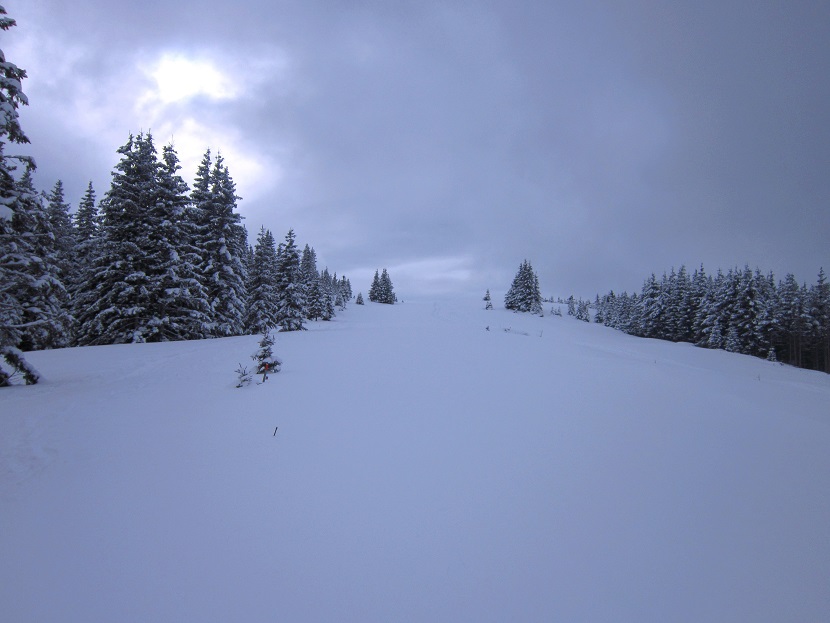 Foto: Andreas Koller / Skitour / Aus dem Feistritztal auf den Harterkogel (1523m) / Gipfelkamm / 05.02.2021 19:35:24
