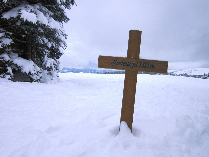 Foto: Andreas Koller / Skitour / Aus dem Feistritztal auf den Harterkogel (1523m) / Minigipfelkreuz am Harterkogel / 05.02.2021 19:34:33