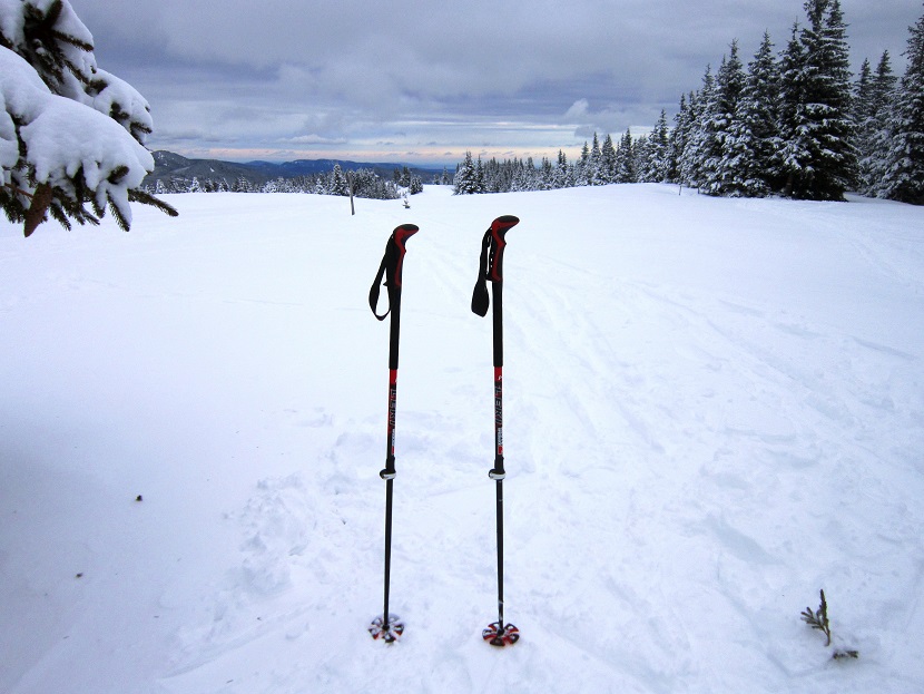Foto: Andreas Koller / Skitour / Aus dem Feistritztal auf den Harterkogel (1523m) / 05.02.2021 19:34:10