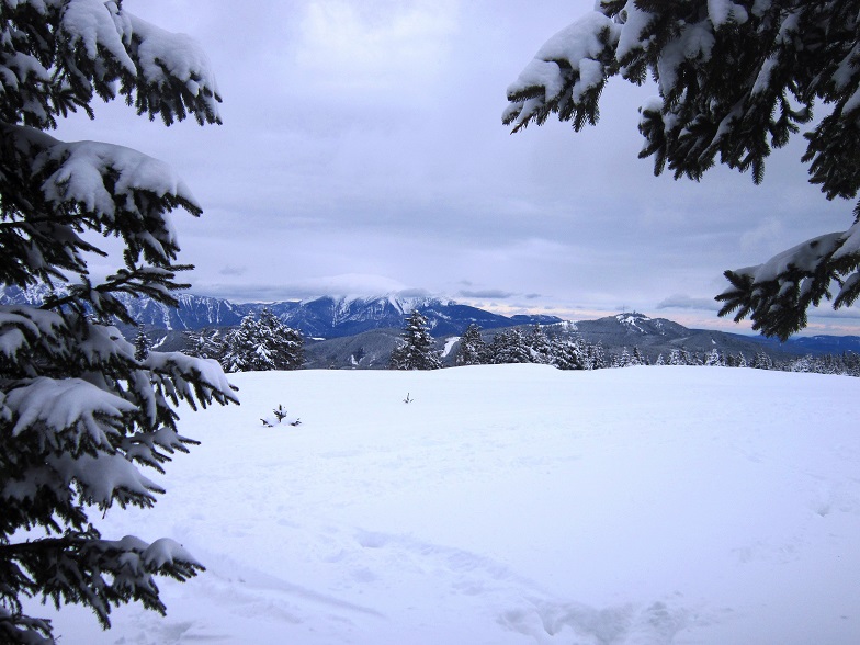 Foto: Andreas Koller / Skitour / Aus dem Feistritztal auf den Harterkogel (1523m) / 05.02.2021 19:32:11