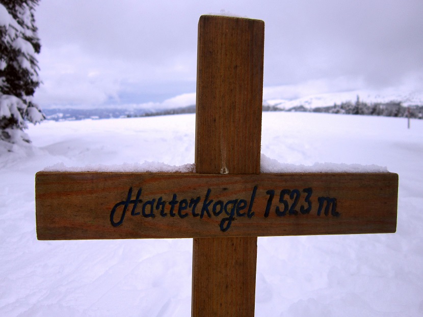 Foto: Andreas Koller / Skitour / Aus dem Feistritztal auf den Harterkogel (1523m) / 05.02.2021 19:31:51