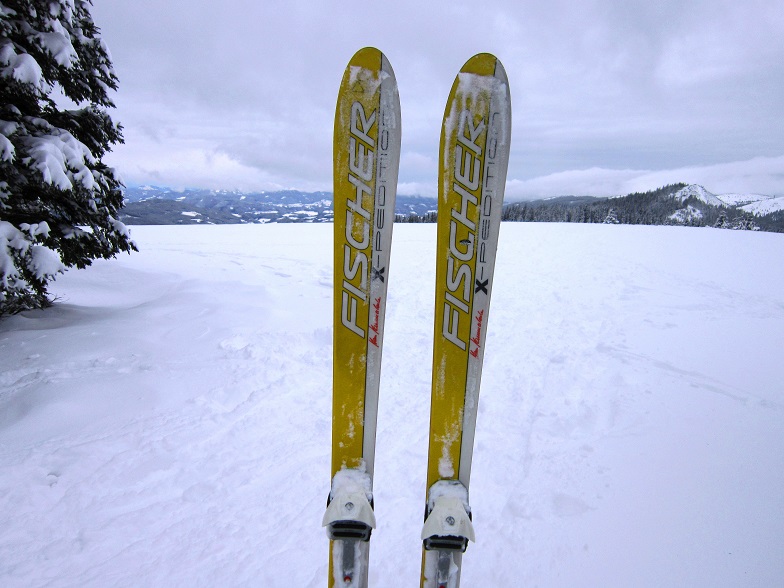 Foto: Andreas Koller / Skitour / Aus dem Feistritztal auf den Harterkogel (1523m) / 05.02.2021 19:30:35