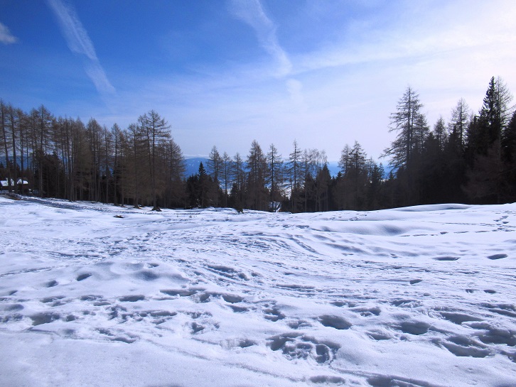 Foto: Andreas Koller / Skitour / Leichte Saualpen-Tour auf zwei Gipfel (1901m) / Unterwegs auf der Saualpe / 14.02.2021 01:21:42