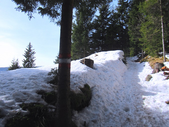 Foto: Andreas Koller / Skitour / Leichte Saualpen-Tour auf zwei Gipfel (1901m) / 14.02.2021 01:21:17