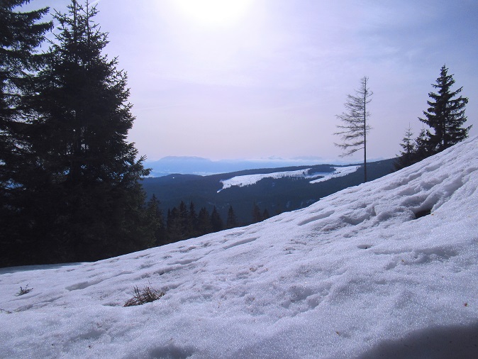 Foto: Andreas Koller / Skitour / Leichte Saualpen-Tour auf zwei Gipfel (1901m) / 14.02.2021 01:21:06