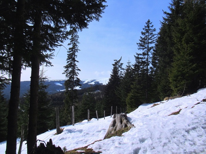 Foto: Andreas Koller / Skitour / Leichte Saualpen-Tour auf zwei Gipfel (1901m) / 14.02.2021 01:21:01