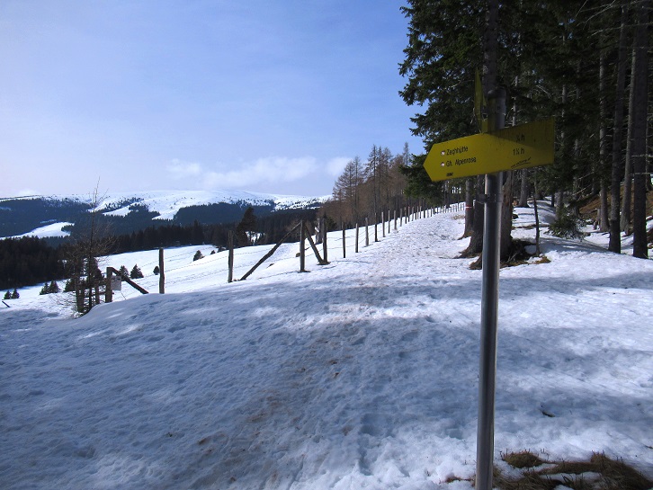 Foto: Andreas Koller / Skitour / Leichte Saualpen-Tour auf zwei Gipfel (1901m) / 14.02.2021 01:20:56