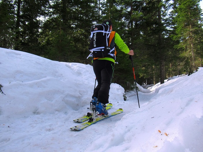 Foto: Andreas Koller / Skitour / Leichte Saualpen-Tour auf zwei Gipfel (1901m) / 14.02.2021 01:20:41