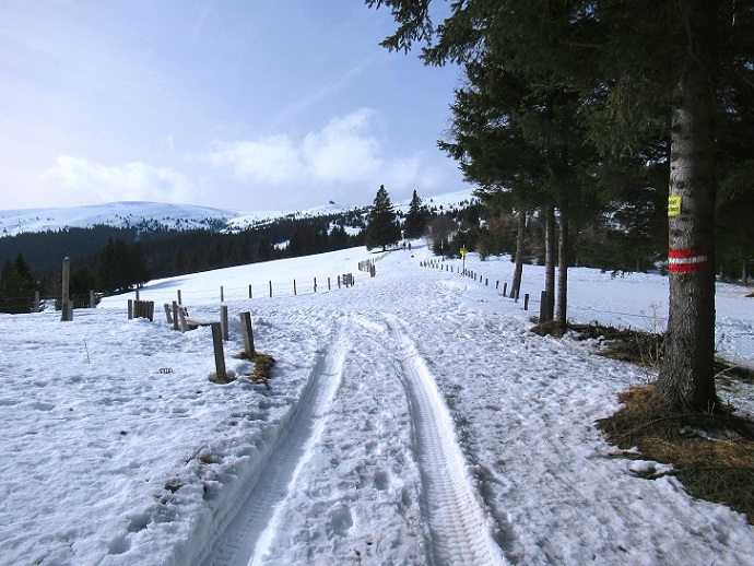 Foto: Andreas Koller / Skitour / Leichte Saualpen-Tour auf zwei Gipfel (1901m) / 14.02.2021 01:20:35
