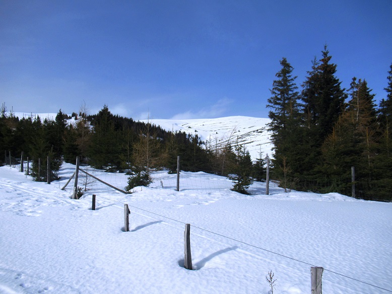 Foto: Andreas Koller / Skitour / Leichte Saualpen-Tour auf zwei Gipfel (1901m) / 14.02.2021 01:20:29