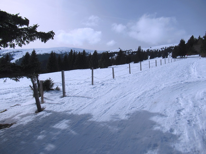 Foto: Andreas Koller / Skitour / Leichte Saualpen-Tour auf zwei Gipfel (1901m) / 14.02.2021 01:20:24
