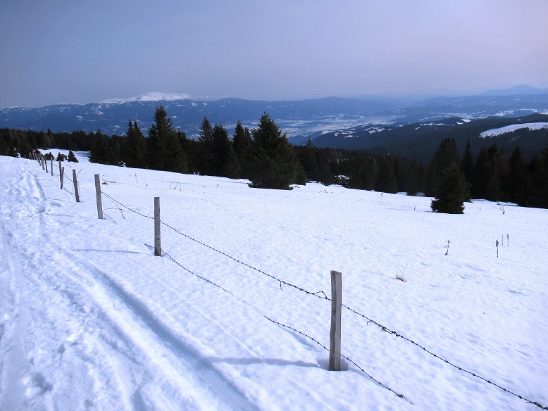 Foto: Andreas Koller / Skitour / Leichte Saualpen-Tour auf zwei Gipfel (1901m) / Blick zur Koralpe (2140m) / 14.02.2021 01:20:11
