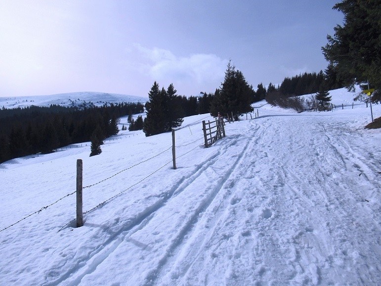 Foto: Andreas Koller / Skitour / Leichte Saualpen-Tour auf zwei Gipfel (1901m) / 14.02.2021 01:19:53