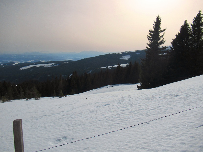 Foto: Andreas Koller / Skitour / Leichte Saualpen-Tour auf zwei Gipfel (1901m) / 14.02.2021 01:19:47