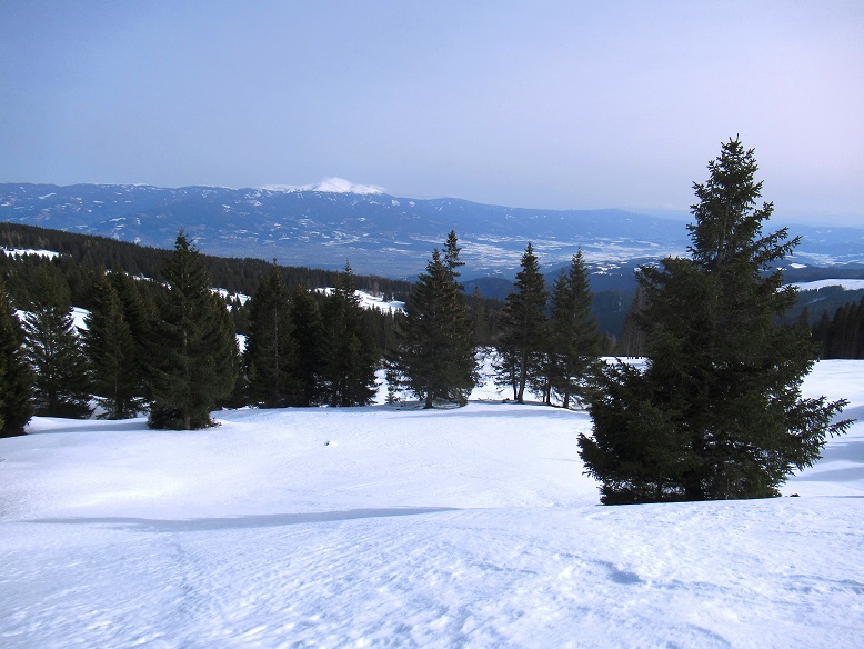 Foto: Andreas Koller / Skitour / Leichte Saualpen-Tour auf zwei Gipfel (1901m) / 14.02.2021 01:19:36