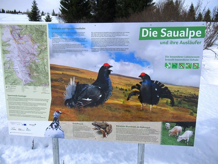 Foto: Andreas Koller / Skitour / Leichte Saualpen-Tour auf zwei Gipfel (1901m) / 14.02.2021 01:18:45