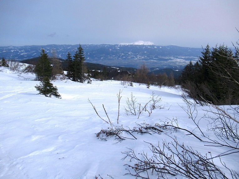 Foto: Andreas Koller / Skitour / Leichte Saualpen-Tour auf zwei Gipfel (1901m) / 14.02.2021 01:18:31