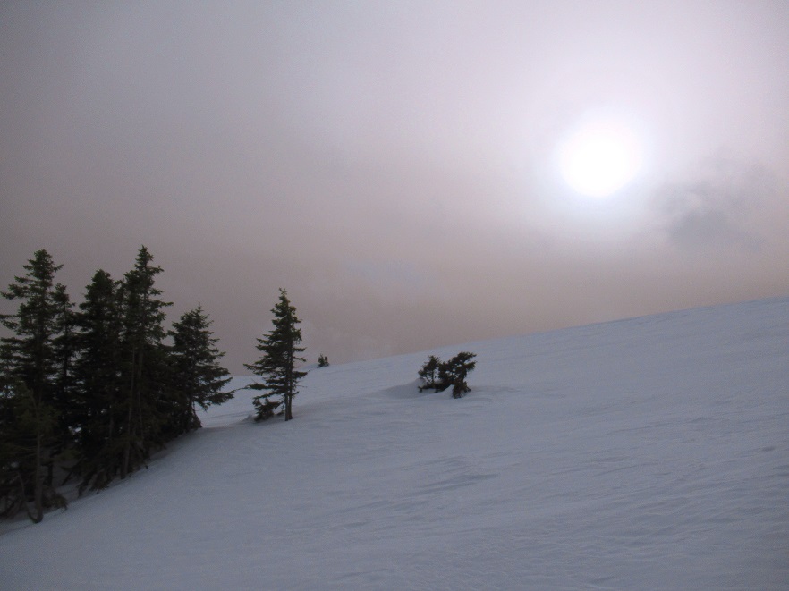 Foto: Andreas Koller / Skitour / Leichte Saualpen-Tour auf zwei Gipfel (1901m) / Saharasand über der Saualpe / 14.02.2021 01:16:44