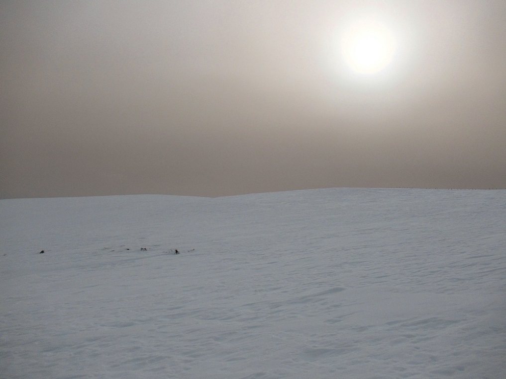 Foto: Andreas Koller / Skitour / Leichte Saualpen-Tour auf zwei Gipfel (1901m) / 14.02.2021 01:16:28