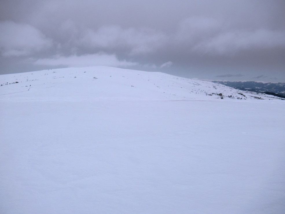 Foto: Andreas Koller / Skitour / Leichte Saualpen-Tour auf zwei Gipfel (1901m) / Blick zur Ladinger Spitze (2079m) / 14.02.2021 01:15:15