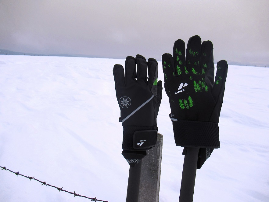 Foto: Andreas Koller / Skitour / Leichte Saualpen-Tour auf zwei Gipfel (1901m) / 14.02.2021 01:14:33