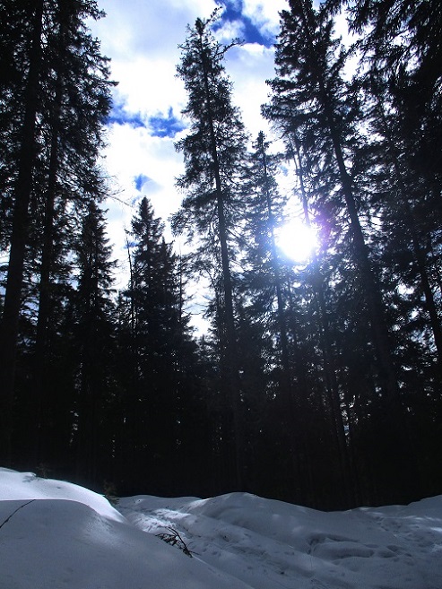 Foto: Andreas Koller / Schneeschuhtour / Hebalm - Klassiker Bärofen (1720m) / 19.02.2021 03:17:54