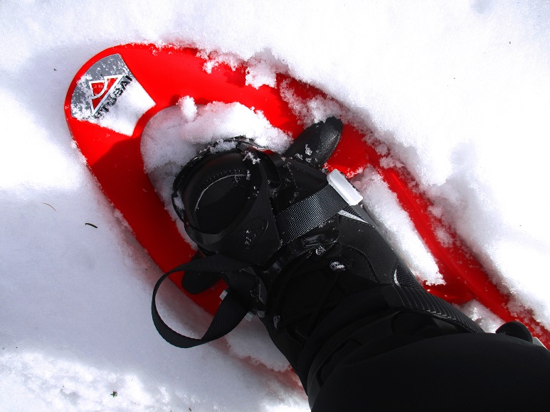 Foto: Andreas Koller / Schneeschuhtour / Hebalm - Klassiker Bärofen (1720m) / 19.02.2021 03:17:36