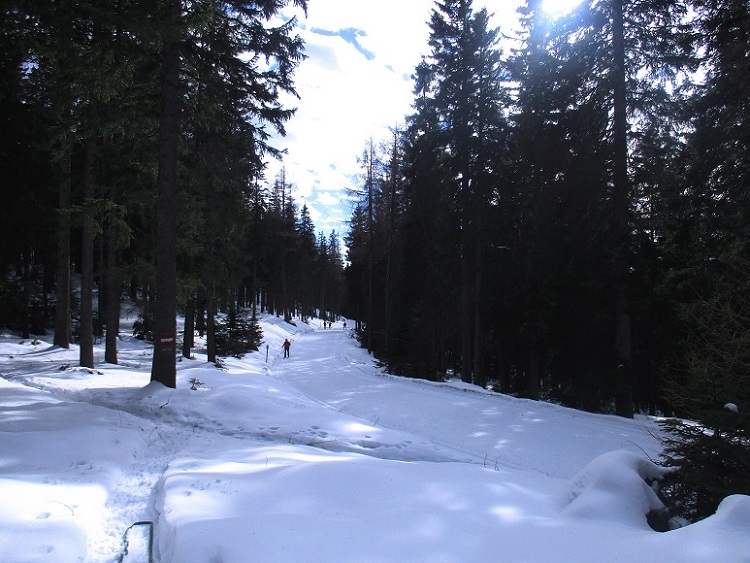 Foto: Andreas Koller / Schneeschuhtour / Hebalm - Klassiker Bärofen (1720m) / 19.02.2021 03:17:32