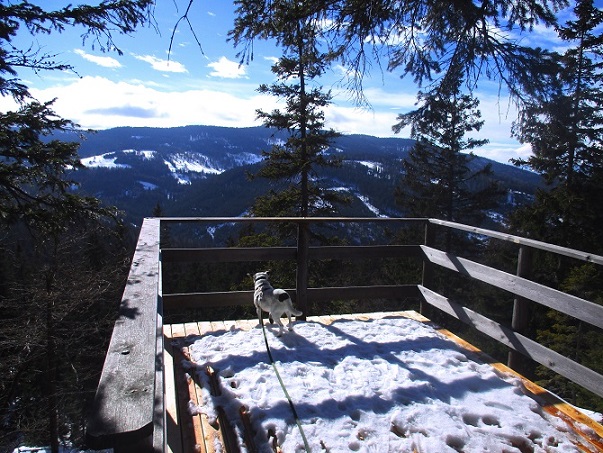 Foto: Andreas Koller / Schneeschuhtour / Hebalm - Klassiker Bärofen (1720m) / 19.02.2021 03:17:09