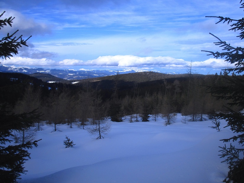 Foto: Andreas Koller / Schneeschuhtour / Hebalm - Klassiker Bärofen (1720m) / 19.02.2021 03:16:01