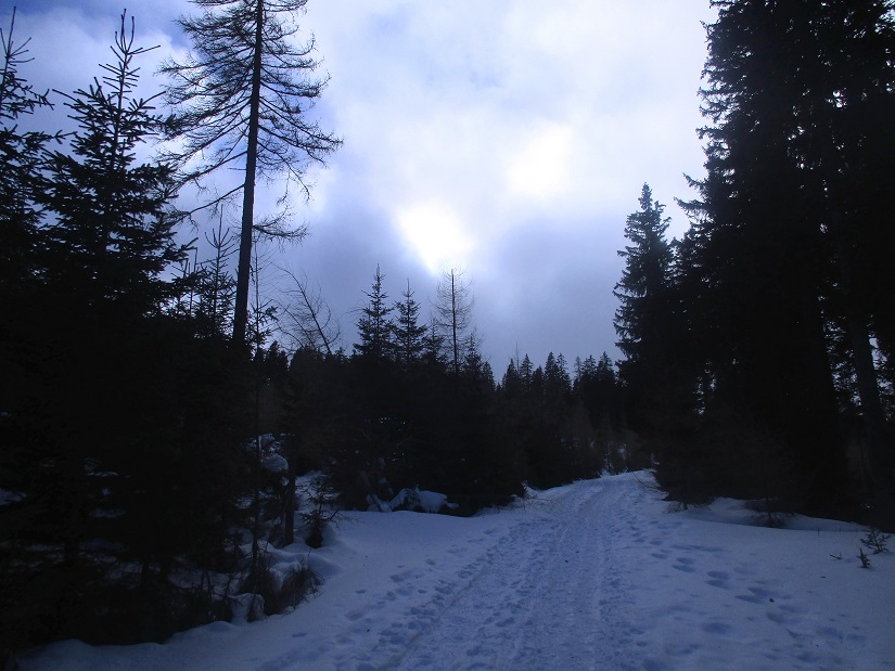Foto: Andreas Koller / Schneeschuhtour / Hebalm - Klassiker Bärofen (1720m) / 19.02.2021 03:15:48