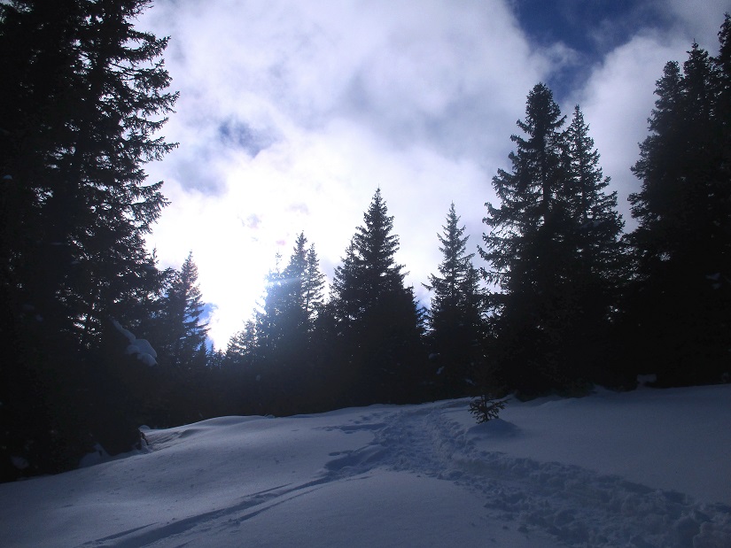 Foto: Andreas Koller / Schneeschuhtour / Hebalm - Klassiker Bärofen (1720m) / 19.02.2021 03:15:10