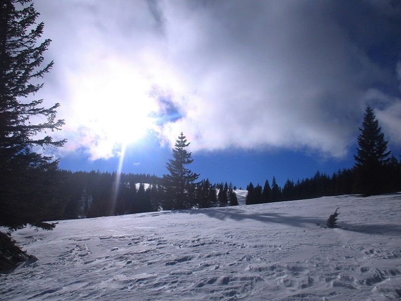 Foto: Andreas Koller / Schneeschuhtour / Hebalm - Klassiker Bärofen (1720m) / 19.02.2021 03:15:01
