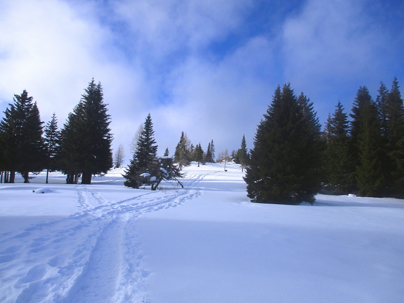Foto: Andreas Koller / Schneeschuhtour / Hebalm - Klassiker Bärofen (1720m) / 19.02.2021 03:14:31