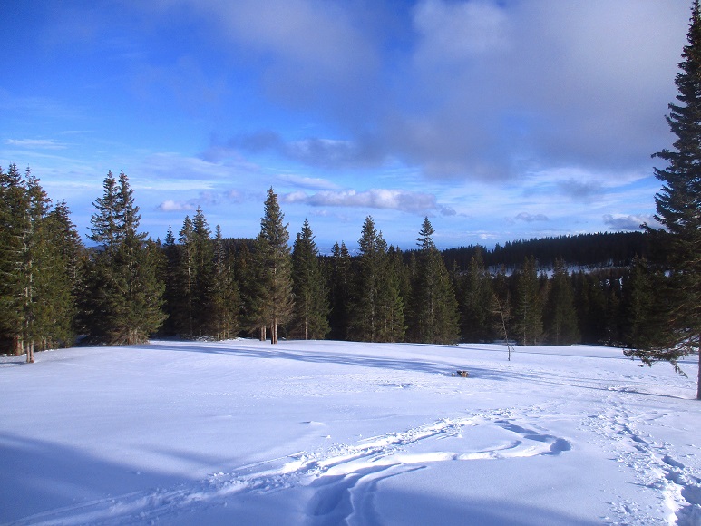 Foto: Andreas Koller / Schneeschuhtour / Hebalm - Klassiker Bärofen (1720m) / 19.02.2021 03:14:11