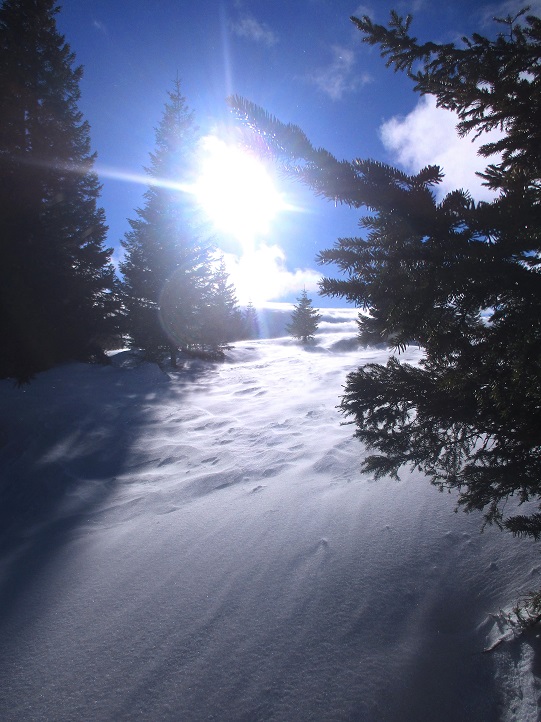 Foto: Andreas Koller / Schneeschuhtour / Hebalm - Klassiker Bärofen (1720m) / 19.02.2021 03:14:03