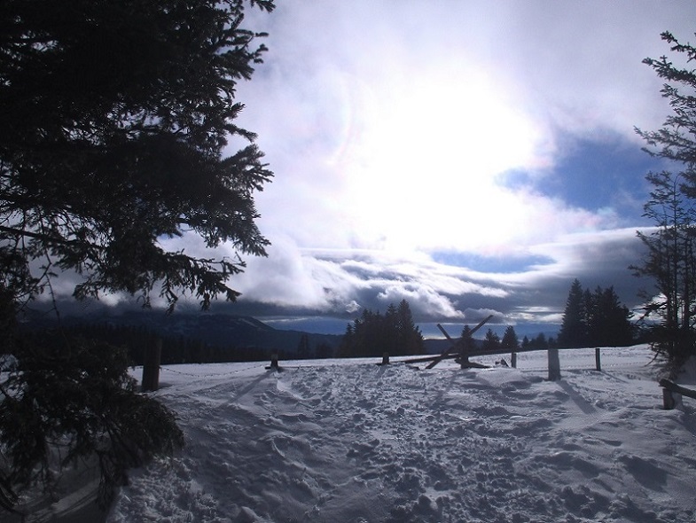 Foto: Andreas Koller / Schneeschuhtour / Hebalm - Klassiker Bärofen (1720m) / 19.02.2021 03:13:55