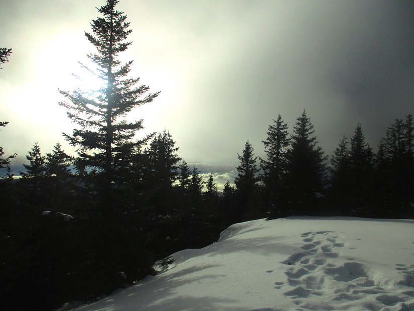 Foto: Andreas Koller / Schneeschuhtour / Hebalm - Klassiker Bärofen (1720m) / 19.02.2021 03:12:33