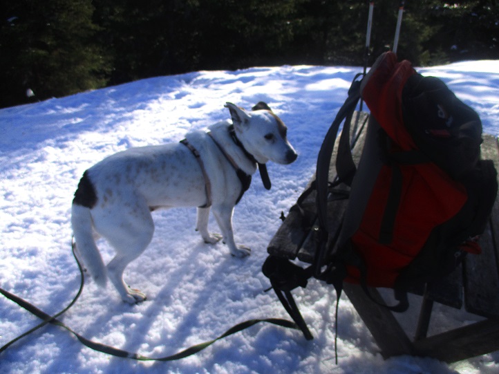 Foto: Andreas Koller / Schneeschuhtour / Hebalm - Klassiker Bärofen (1720m) / 19.02.2021 03:11:38