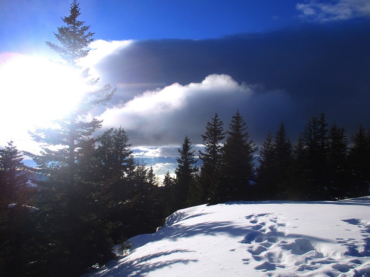Foto: Andreas Koller / Schneeschuhtour / Hebalm - Klassiker Bärofen (1720m) / 19.02.2021 03:11:20
