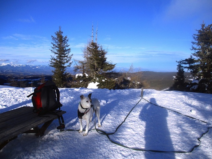 Foto: Andreas Koller / Schneeschuhtour / Hebalm - Klassiker Bärofen (1720m) / 19.02.2021 03:10:57